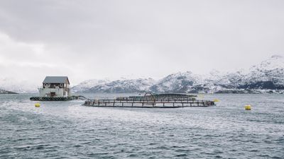 SATSER: Stadig flere oppdrettsanlegg tar i bruk batteripakker for å redusere utslippene fra forflåtene. Foto: Marius Fiskum / Norges Sjømatråd
