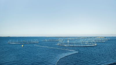 STORE UTFORDRINGER: Høye vekstambisjoner i oppdrettnæringen må kombineres med drastiske klimagassutslipp fram mot 2050 (Foto: Enova)