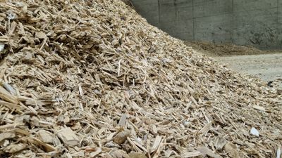 Høykvalitet biokarbon kan gjøre metallproduksjonen ved smelteverkene mer klimavennlig